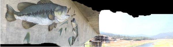 Antlers Bridge Fish Panels